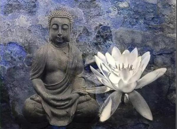 һ�����_��������