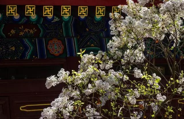 ���ӵļӳ�����ʱ���ڵģ�Ҫ��β�����������