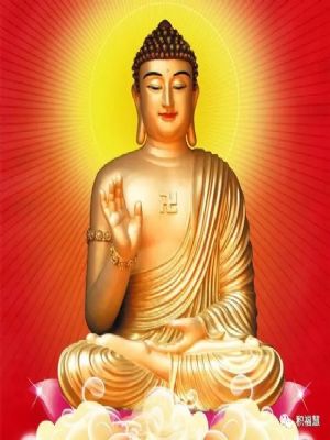 ���¸�������������