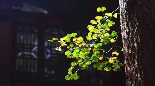 ���������⳾ʱ�������������еĿ�ʼ