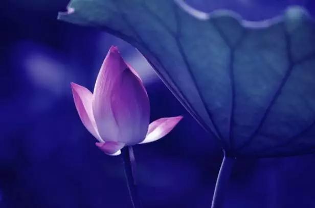 ����Ե��������Ե����һ�ж��ǻ���