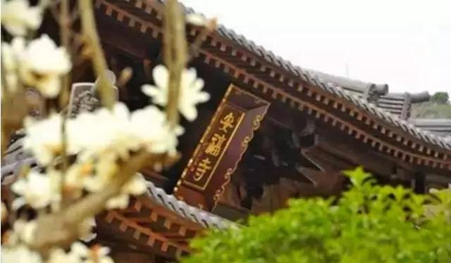 �����ޱߵ������Ӻζ�������ʦ�÷𾭵ļ��ظ����㣡