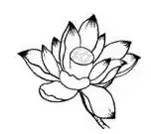 �����棺��������ʲô����Ҫ����Ĺ��»���������������