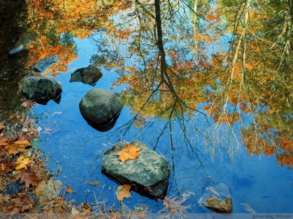 ���Ｊ���������ۿ������顱-�͸�����Ϊ����������