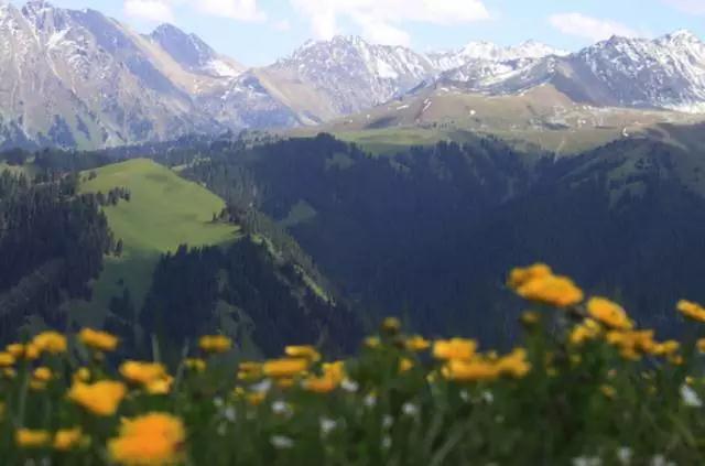 ɽ������_�Ҿ͹�ȥ���������������鶼������