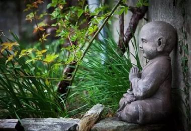 ���������ˣ������������