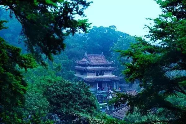 ����Ϊϰ��δ����������������