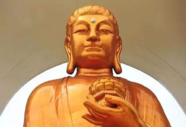 �ʻ���ʦ�������������