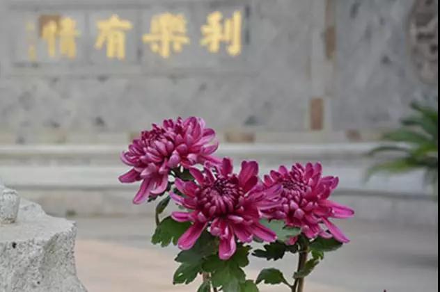 ��͸һ������_�����ƽ��ѿ����������Ļ�