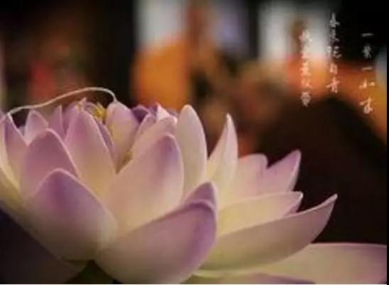 “人不为己,天诛地灭”原来是这个意思! “人不为己,天诛地灭”原来是这个意思!