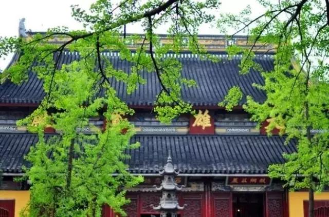 ��Ⱥ��ʦ�������������зǳ���Ҫ