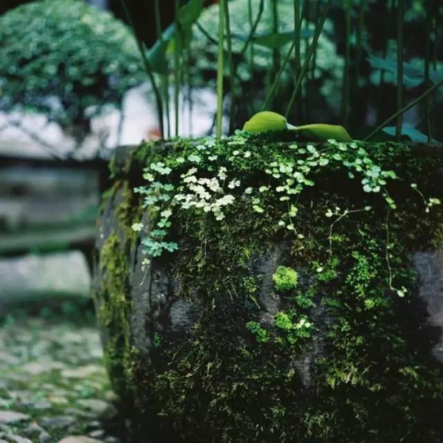 �����������Ա�ҵ�������ߣ�