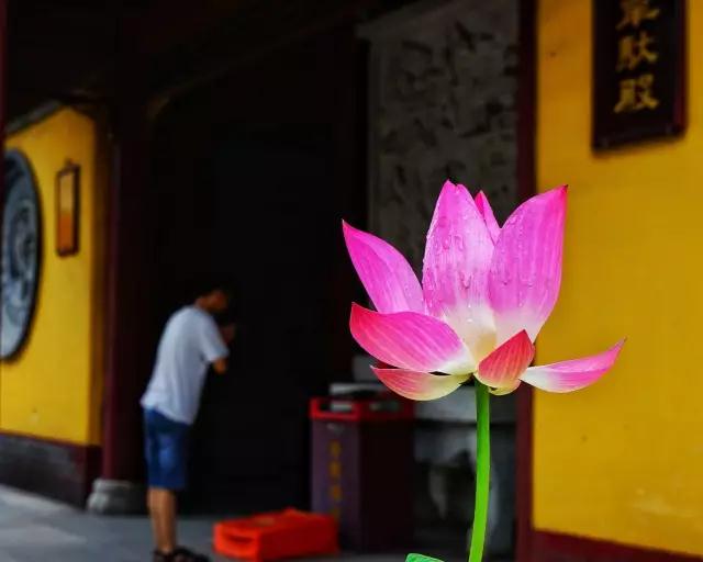 �����������Ա�ҵ�������ߣ�