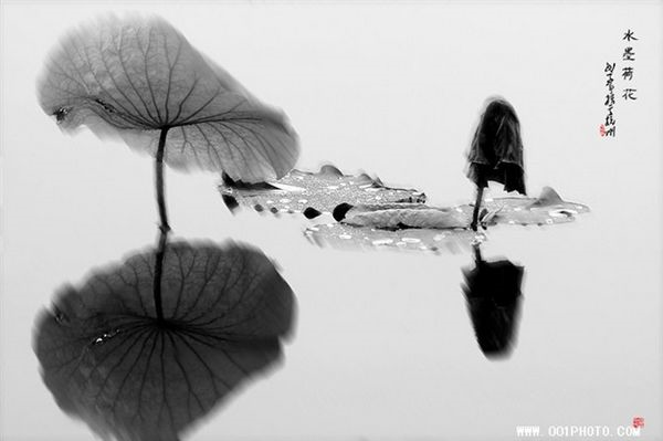 �������ϰ볡���°볡