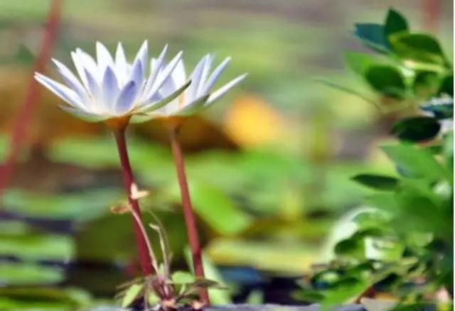 ���ġ����ı������ĺ�ϰ�ߣ�