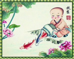 放生愈病灵感 放生愈病灵感