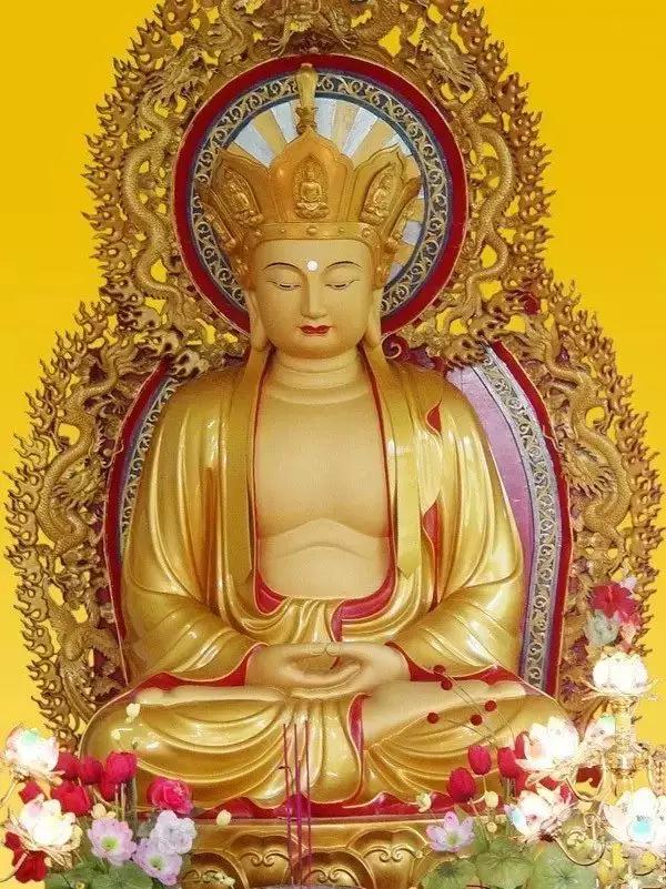 �ز���������������������������