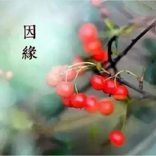 Ϊʲô���Ī��ϲ��������һ���ˣ�