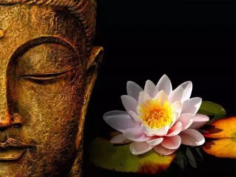 因果法则是佛法的基础,佛弟子必须深信 因果法则是佛法的基础,佛弟子必须深信