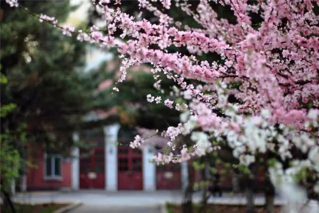 ���û����Щ���Һ����࣬����������������������