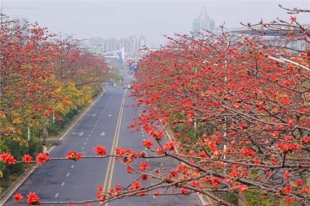 ���û����Щ���Һ����࣬����������������������