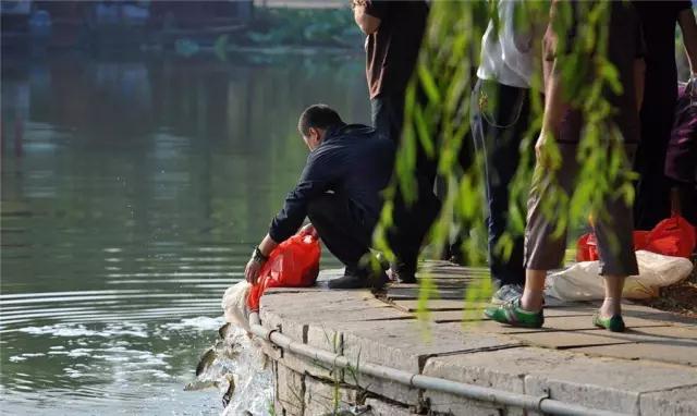 ���û����Щ���Һ����࣬����������������������