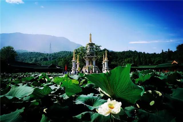 ���û����Щ���Һ����࣬����������������������