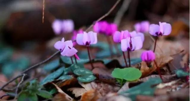 ��������Ŵ򿪣���������ȥ