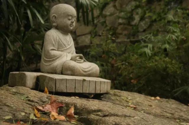 ��������Ŵ򿪣���������ȥ