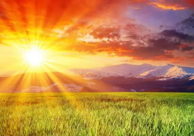 修行不要太执着、太勉强 修行不要太执着、太勉强