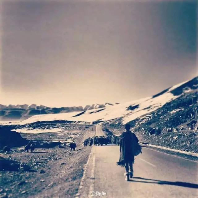 ��������Ϊʲôһ�ٵ��Ƽ������������顷��