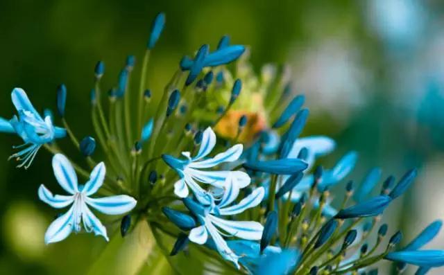 �����Ե��ô����