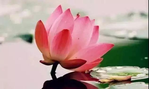 �˲�������,��Ҫѧ������