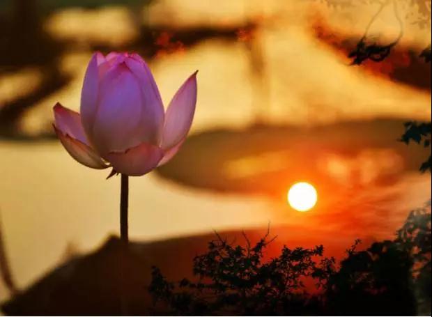 去除业障,靠的是忏悔 去除业障,靠的是忏悔