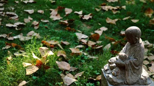 去除业障,靠的是忏悔 去除业障,靠的是忏悔