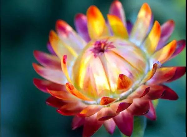 ��Ĺ������ĸ��׶Σ�