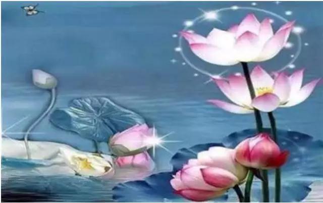 ���Ҿ�������������������