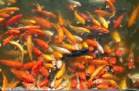 ����ҽ��ܷ�������ĺô�