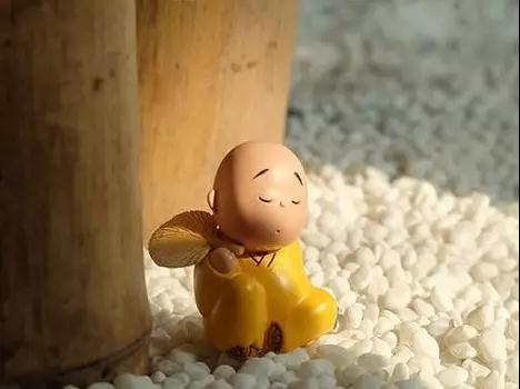 ѧ�Ϸ�ʦ��Ϊʲô�ࣿ�϶����㡰��������ĳ������