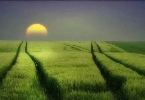 ��̳�ʶ_|_ʲô��Ե��