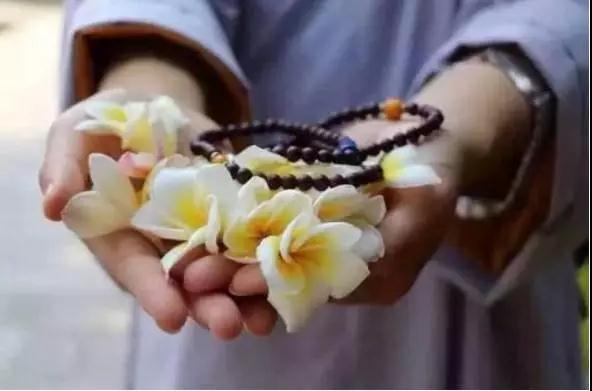 ��������Ե����������͸���Ƹ��͵�λ