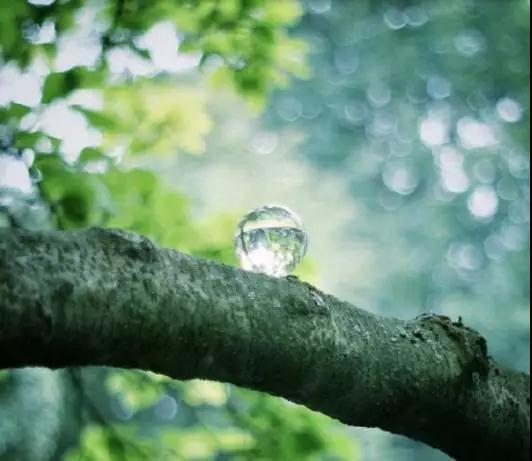 弘一法师:做人做事,十要诀 弘一法师:做人做事,十要诀