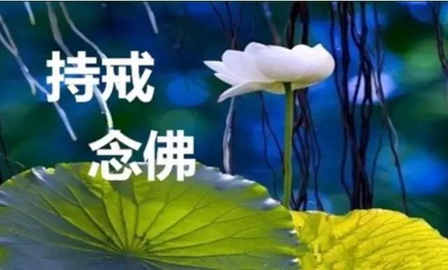 ��ʿ���㶮�û�����