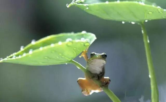 ѧ�Ϸ�ʦ�������ĺò���������Ҫ���ǻ�