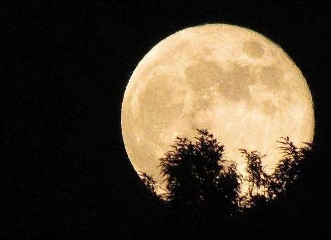 ���������ڵ�ԨԴ