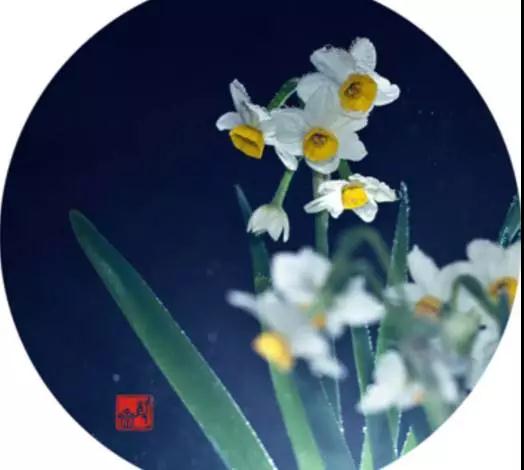 ������ᣡ�̶̼��仰�����������̻�ľ���