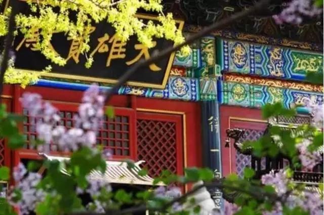 ���������ܸ�Ӧ���