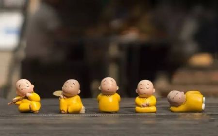 �ϻ����ʦ��������֪����