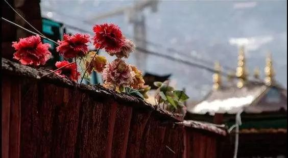 ѧ���������׺_Ҫ��ʵ������ʵ��