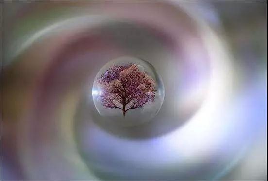 ѧ���������׺_Ҫ��ʵ������ʵ��